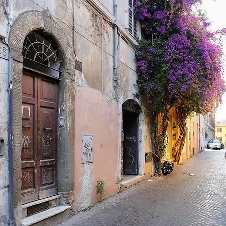 Apartment Trastevere Split Level Terrace - Collection